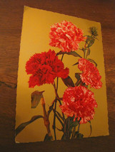 1974 Postcard Postcard 4 Cloves Flower Czech Flowers 871 1974 Stamp 40 L... - $13.04