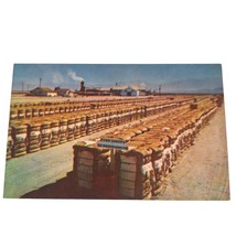 Postcard Bales Of Cotton In Texas Noted For The Finest Cotton In The World - £5.41 GBP