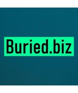 Buried .biz / Domain For Sale / Business, Website Name / Namecheap - $28.71