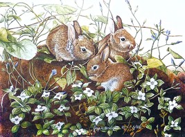 Joyce Bridgett framed matted numbered print. Woodland bunnies. - £195.31 GBP