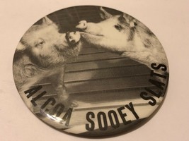 VTG Farming PIGS PHOTO Pinback Button ALCOA SOOEY SLATS  - $19.75