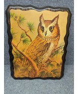 Great Horned Owl by Bradley Art Print on Wooden Plaque Lacquer 15 x 17 - $19.75