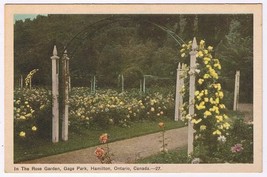 Postcard Hamilton Ontario Gage Park In The Rose Garden - $3.95