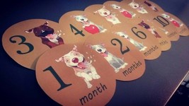 Pitbulls Monthly baby stickers. Bodysuit month stickers. Dogs themed pup... - £6.28 GBP