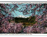 Mount Cashmere From cashmere Washington WA UNP Chrome Postcard S9 - £3.51 GBP