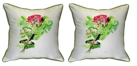 Pair of Betsy Drake Geranium Large Pillows 18 Inch x 18 Inch - £71.21 GBP