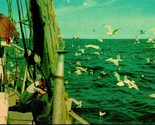 Dinner for the Seagulls Cape Cod Massachusetts MA UNP Chrome Postcard E5 - $3.91