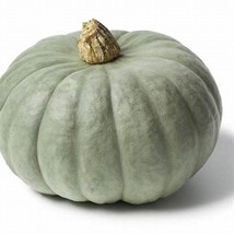 Silver Chestnut Pumpkin Hybrid, 1 BAG 20 Seeds D - £12.62 GBP