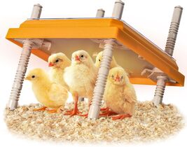Efficient Full-Size Chick Brooder Heater - 10" x 10" with Safety Features - $51.43