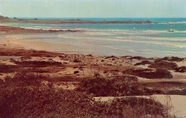 Asilomar Dunes E Beach-Del Monte Foresta California Cartolina - £5.22 GBP