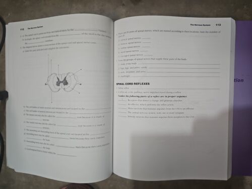 Essentials of Anatomy and Physiology by  Sanders Scanlon Student Workbook Lot Item image 12
