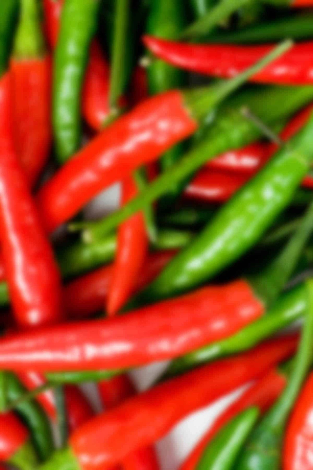 25 SEEDS Tabiche  Pepper Garden Vegetables Planting Edible Food - $5.24