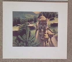 Stan Galli Bobcat &amp; Kittens Print 20 X 22 3/4 Weyerhaueser Wildlife 1960&#39;S - £29.50 GBP