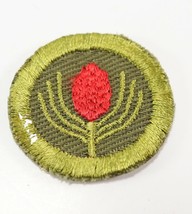 Vintage 1911-1960 Type ? Boy Scout BSA &quot; FORESTRY &quot; Merit Badge Patch - $11.69