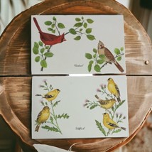 Bird Placemat Set Of 2 Vintage Cardinals Goldfinches Vinyl Plastic Easy Clean  - £19.04 GBP