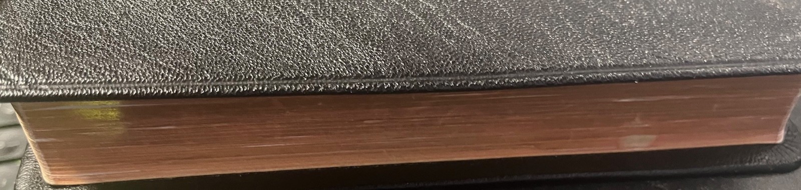 NIV Bible Pitt Minion Reference Edition Black Goatskin  Leather NI186RC Item image 8