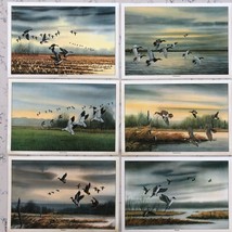 1974 x6 Waterfowl Placemats Box Sex 12&quot; x 17&quot; Edward Frak Paintings - $49.49