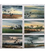 1974 x6 Waterfowl Placemats Box Sex 12&quot; x 17&quot; Edward Frak Paintings - £38.98 GBP