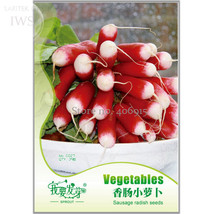 35 Seeds Sausage Radish Seeds Balcony Potted Vegetable Fruit Belle Radis... - £4.84 GBP