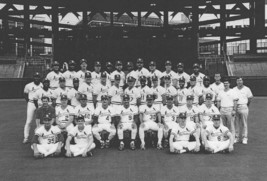 1991 ST. LOUIS CARDINALS 8X10 TEAM PHOTO BASEBALL PICTURE MLB - £3.86 GBP