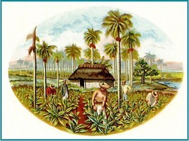 Decoration Poster.Room Interior art design.Tobacco Cuban cigar label.7456 - $16.20+