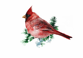 Printable Christmas Card Red Cardinal Digital Watecolor Bird Animal Poster Print - £3.96 GBP