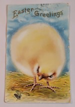 Easter Greetings Antique Embossed Postcard Big Yellow Chick/Fly divided ... - $15.05
