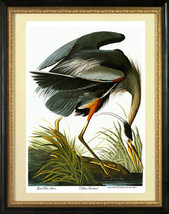 Audubon Great Blue Heron 30x44 Audubon Fine Art Print Hand Numbered Edition - £118.03 GBP