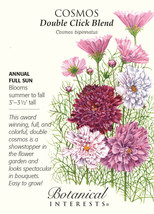 Fresh Double Click Blend Cosmos 25 Seeds US Seller - £14.65 GBP