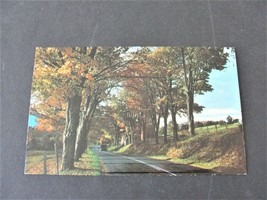 Greetings from Spring Valley, Majestic Drive- Minnesota-1970s Unposted Postcard. - £7.13 GBP