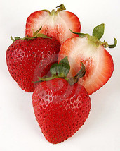 150,000 red strawberry F1 Seed, 300 Professional Packs, 500 Seeds / Pack Wholesa - £241.49 GBP