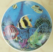 Ceramic Cabinet Knobs W/ Tropical Fish Salt Water #3 - $4.46