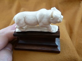 (LYNX-8) medium white Lynx cat Bobcat shed ANTLER figurine Bali detailed... - £55.07 GBP