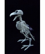 FORUM 8" BIRD/CROW SKELETON FIGURE PROP ACCESSORY 79284 w/ MOVEABLE LIMBS - $234.66 MXN FORUM 8" BIRD/CROW SKELETON FIGURE PROP ACCESSORY 79284 w/ MOVEABLE LIMBS - $234.66 MXN