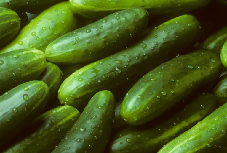 LD 30 Seeds Garden Sweet Cucumber Seeds, Burpless, Organic Fast Shipping - $7.99