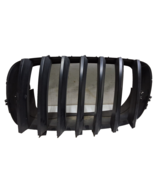 07 08 09 10 11 12 13 BMW X5 left drivers black grill assembly OEM 5113-7... - $363.07 MXN