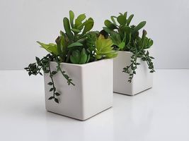 2-Pack Cactus Artificial Succulent Fake Plants Ceramic White Planter Pot... - $15.67