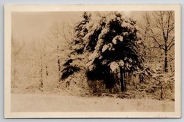RPPC Winter Scene Snow Covered Trees Real Photo Postcard J27 - £6.25 GBP