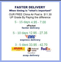 Shipping Pay Link for Faster Delivery - Options for Fast, Express, or ASAP - $92.73 MXN+