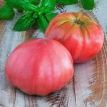 SEPTH Pink Brandywine Tomato Seeds Non-GMO 1032 - £4.61 GBP