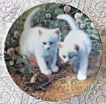 Knowles A CHANCE MEETING White American Shorthairs Collectors Plate 1st Issue - £7.96 GBP