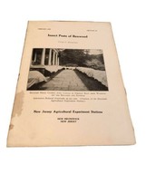 Vintage Extension Bulletin 1926 Pests Boxwood Care Cultivation Brochure Hamilton - £11.64 GBP