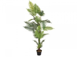 EUROPALMS Areca Palm, Artifical Plant, 180cm - £111.58 GBP