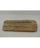 Petrified Wood Raw Chunk Slab 12x6&quot; ~7lbs British Columbia BC Canada - £109.74 GBP