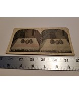 Home Treasure Cocoa Pods and Beans Samoa Stereoview Card Damaged Bends C... - $23.74