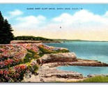 Cliff Drive Santa Cruz California CA Linen Postcard V24 - $2.92