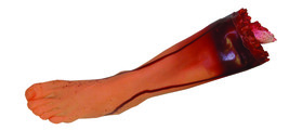 LEFT LEG VINYL - $75.47