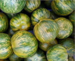 Green Zebra Tomato Seeds 30 Ct Vegetable Garden Heirloom NON-GMO - £1.49 GBP