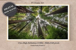 Samsung FRAME TV Art - Looking up at Giant Redwoods,4K (16x9) | DIGITAL ... - £2.76 GBP