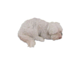 Custom Bobblehead Sleeping Adorable Dog Pet - Pets &amp; Animals Dogs Personalized B - £64.82 GBP